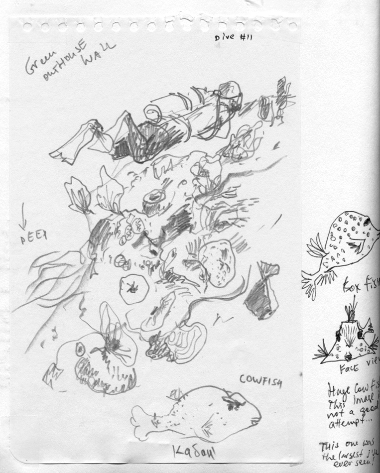 763x950 Scuba Diving With A Sketchbook Urban Sketchers