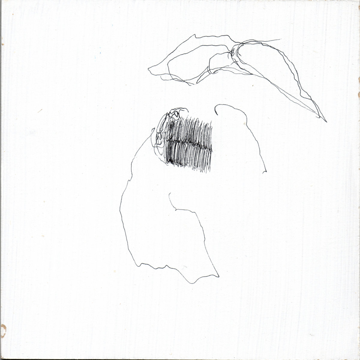 1200x1198 Song Of The Nightingale Jmy