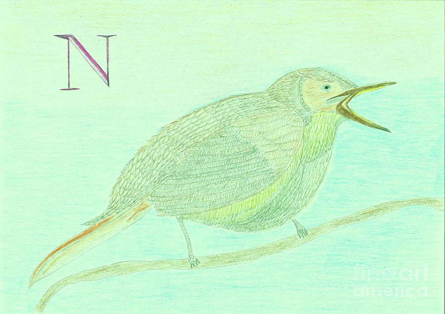 900x636 Nancy The Nightingale Drawing By Leonore Vanscheidt