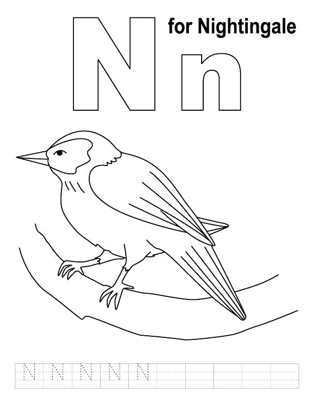 612x792 Coloring Pages ~ Nightingale Coloring Page Staggering Animal Pages