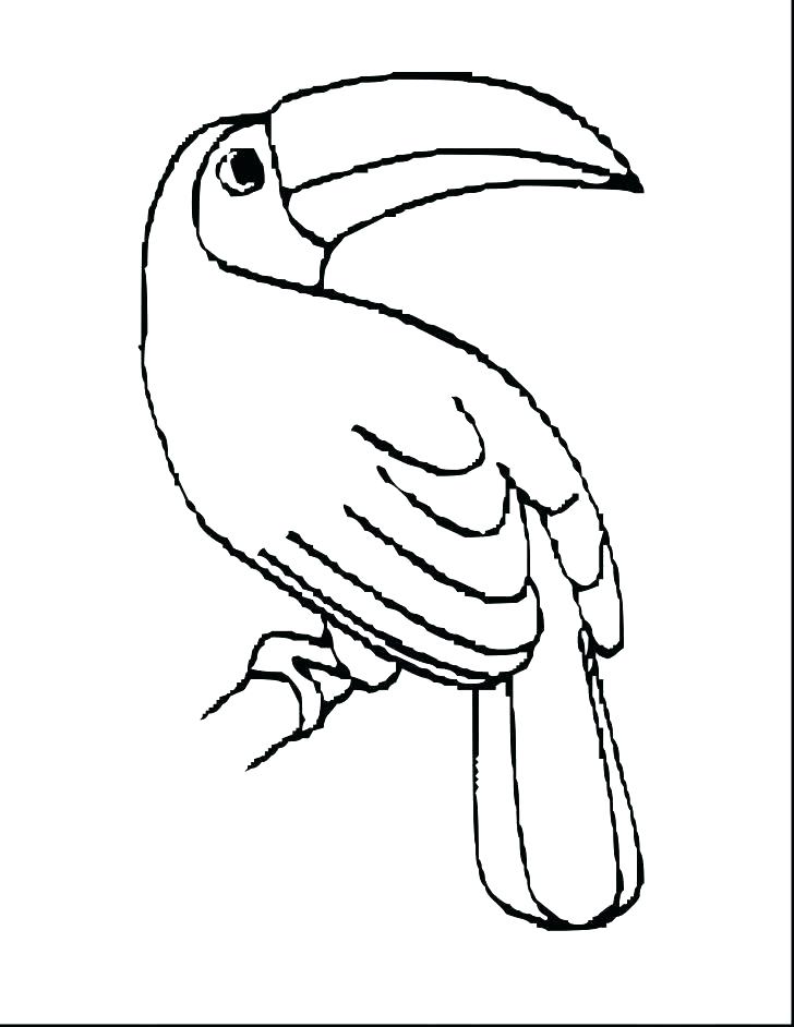 728x942 Coloring Pages ~ Toucan Coloring Page Pages Nightingale To Color