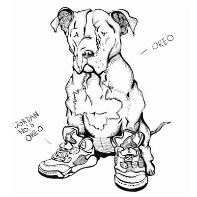 Nike Roshe Run Drawing