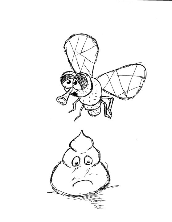 558x720 Like A Fly On Poop