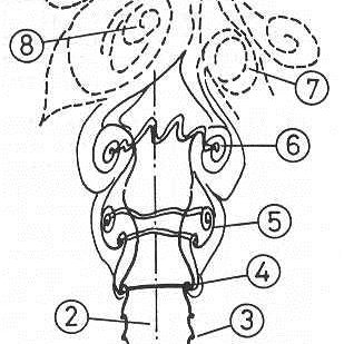 309x309 The Sketch Of Penn State University Jet Noise Facility (Kuo Et Al