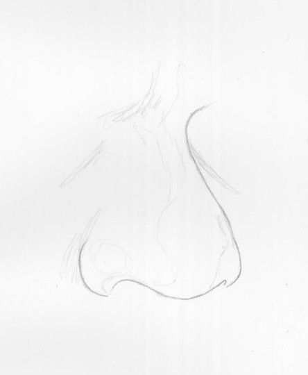 444x540 Best Drawing Noses Images On Nose Drawing