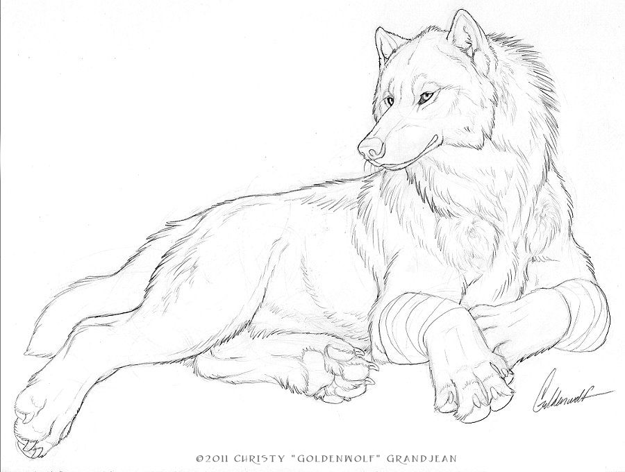 900x680 Drawing Commission For Of A Larger Than Normal Wolf And A Coyote