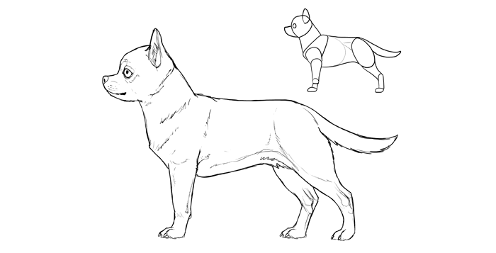 700x357 How To Draw A Dog Details Make The Difference