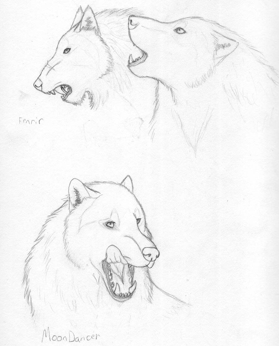 900x1115 These Are Actually Werewolves But They Can Easily Pass As Normal