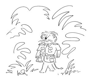 300x263 Lion Drawings