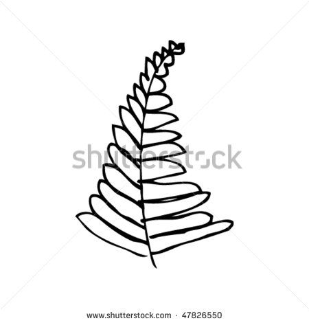 450x470 30 Best Ferns Images On Ferns, Draw And Drawing Rocks