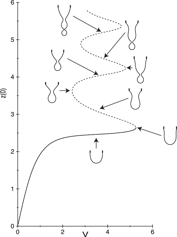 606x811 Figure 1. Numerical Solution Of Set Of Odes Showing