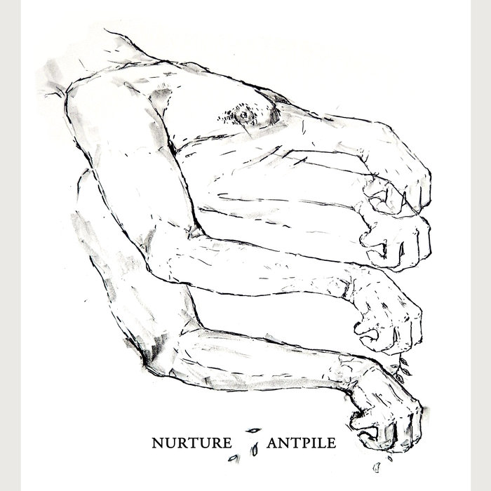 700x700 Nurtureantpile Split Nurture