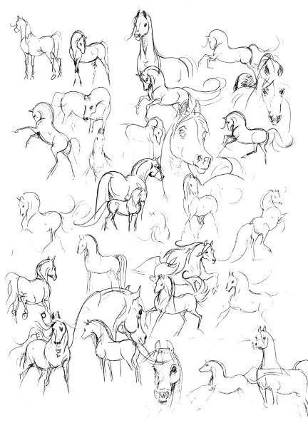 432x600 440 Best Horse Drawings Images On Horses, Equine Art