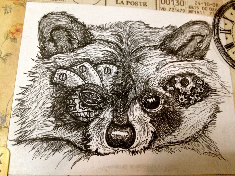 960x720 Nature Vs Nurture Raccoon Close Up By Malice Inwonderland