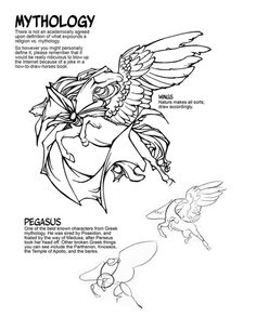 236x305 Horse Anatomy Part Iv