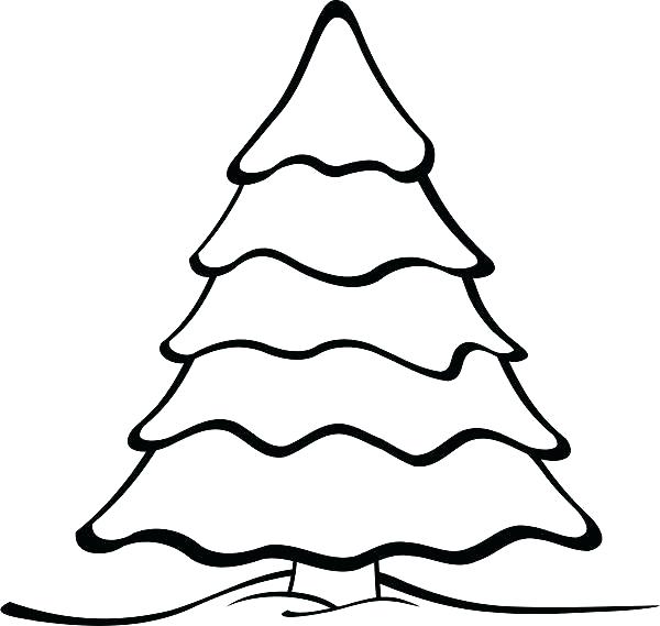 600x569 Oak Tree Outline Bare Tree Coloring Page Oak Tree In The Night