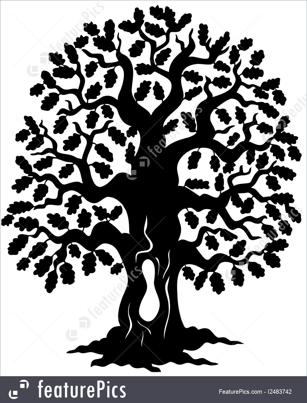 1062x1392 Oak Tree Silhouette Illustration