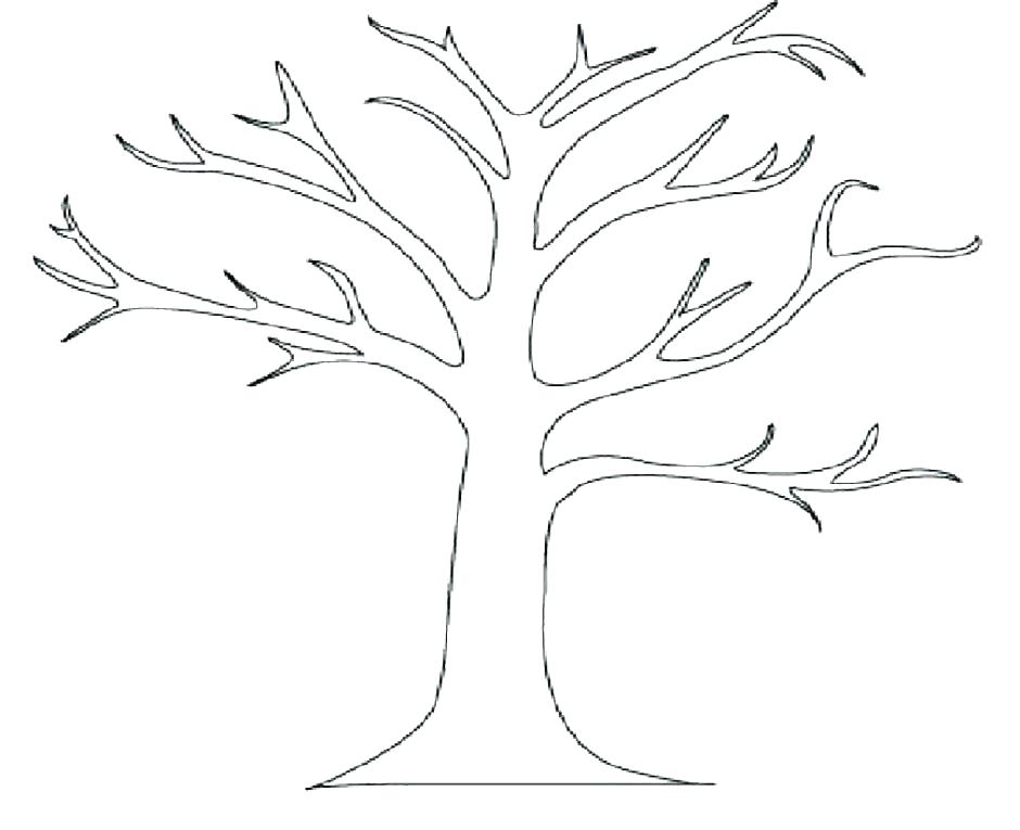 940x765 Oak Tree Sketch On School Paper Vector Illustration Oak Tree