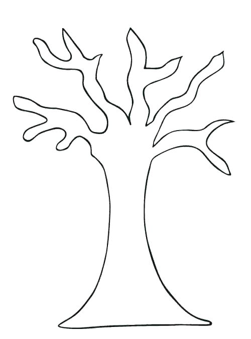 Oak Tree Outline Drawing at GetDrawings | Free download