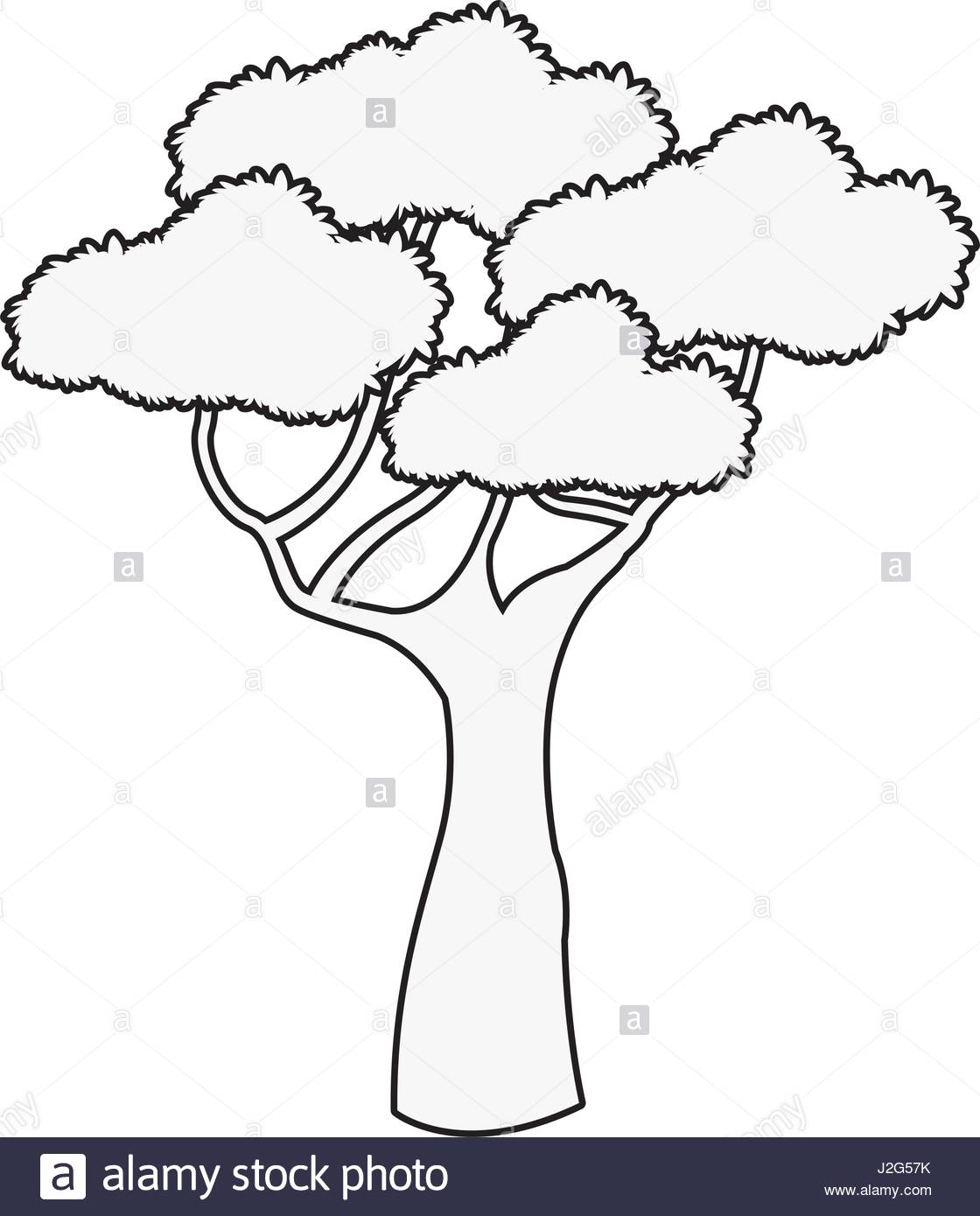 1120x1390 Refundable Outline Of A Tree Oak Nature Transparent Image