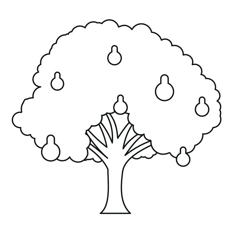 800x800 Apple Tree Outline Images Kids Coloring Pear Tree Icon Outline
