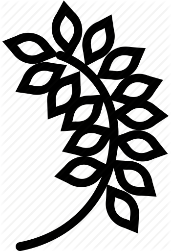 350x512 Smashicons Gastronomy