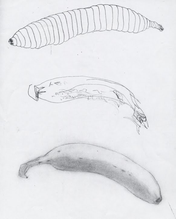 582x723 Sample Maa 4th Quarter Progress Review Observational Drawing