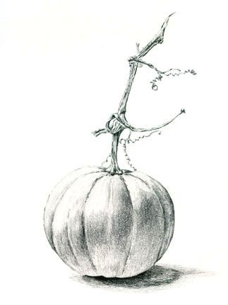 323x432 Observational Drawing Ai Sketchbookjournal