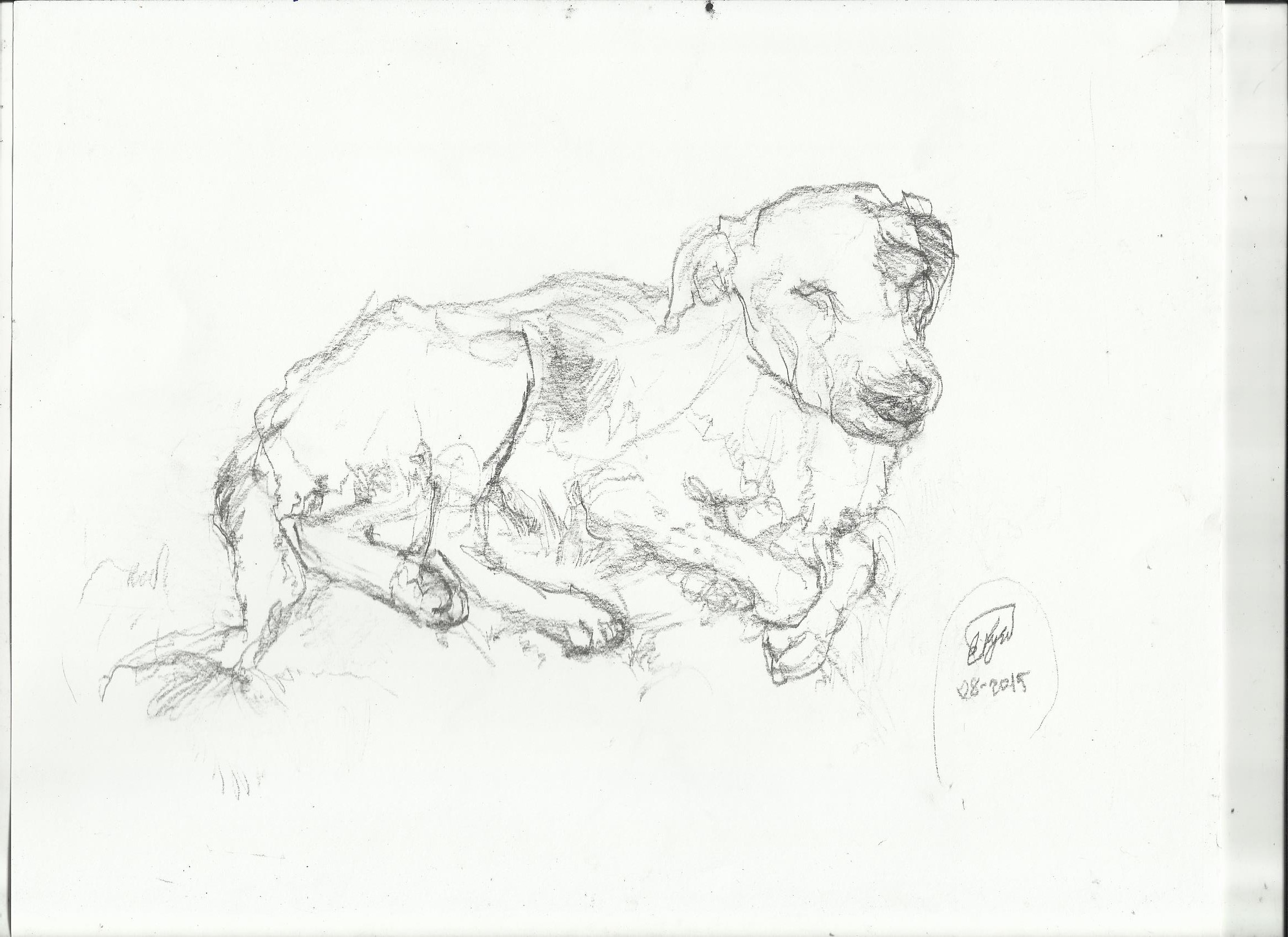 2338x1700 Observational Drawing Nightwithdeer