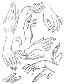 235x295 Method Observational Drawing By Shelly Tan Art