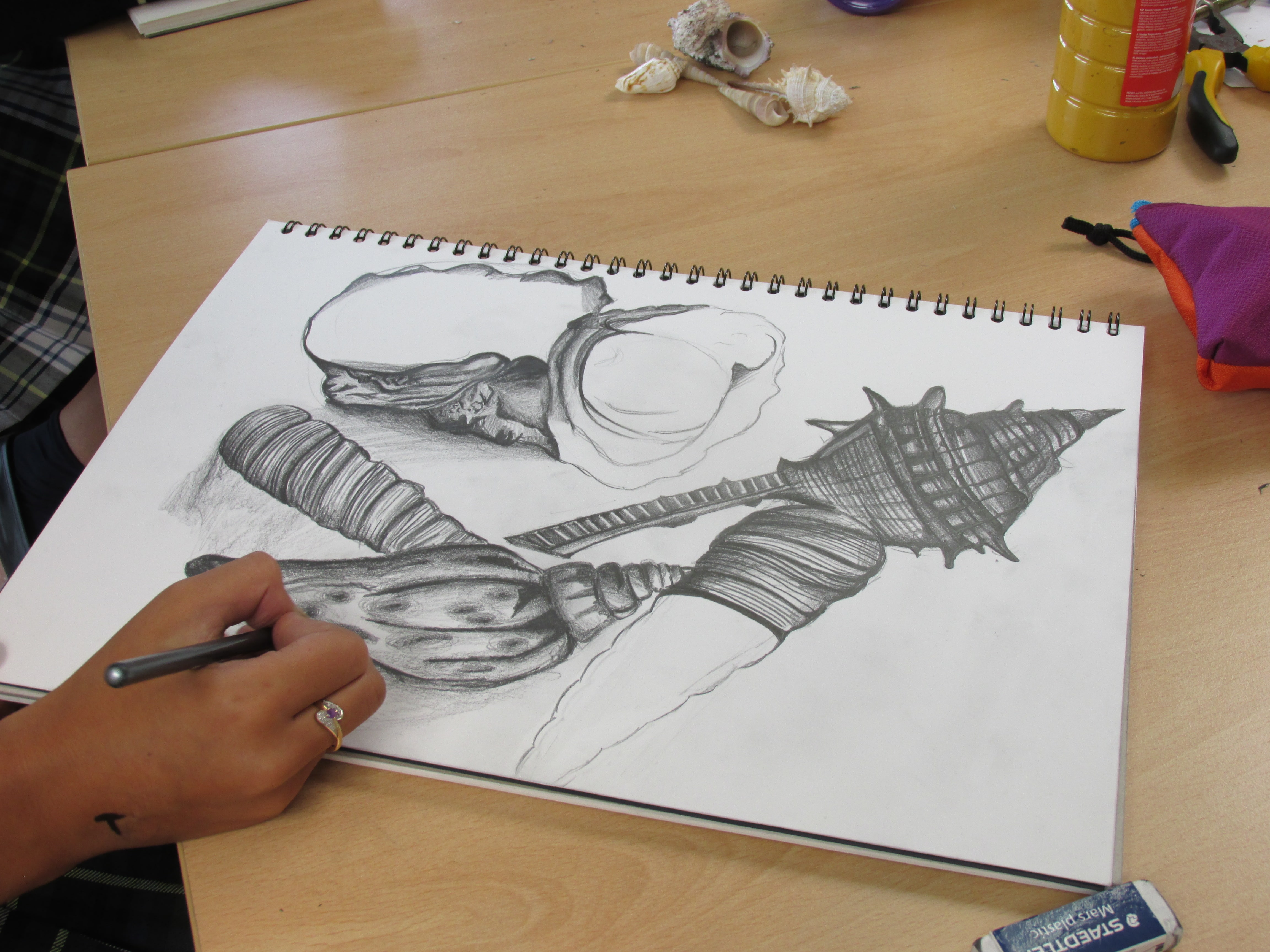 4608x3456 Observational Drawings Kings College Alicante