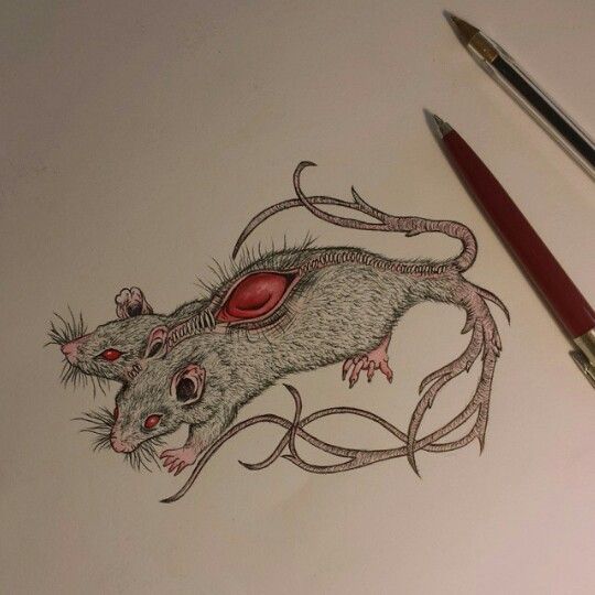 540x540 Observational Drawing Using Biro And Acrylic Paint. Originally By