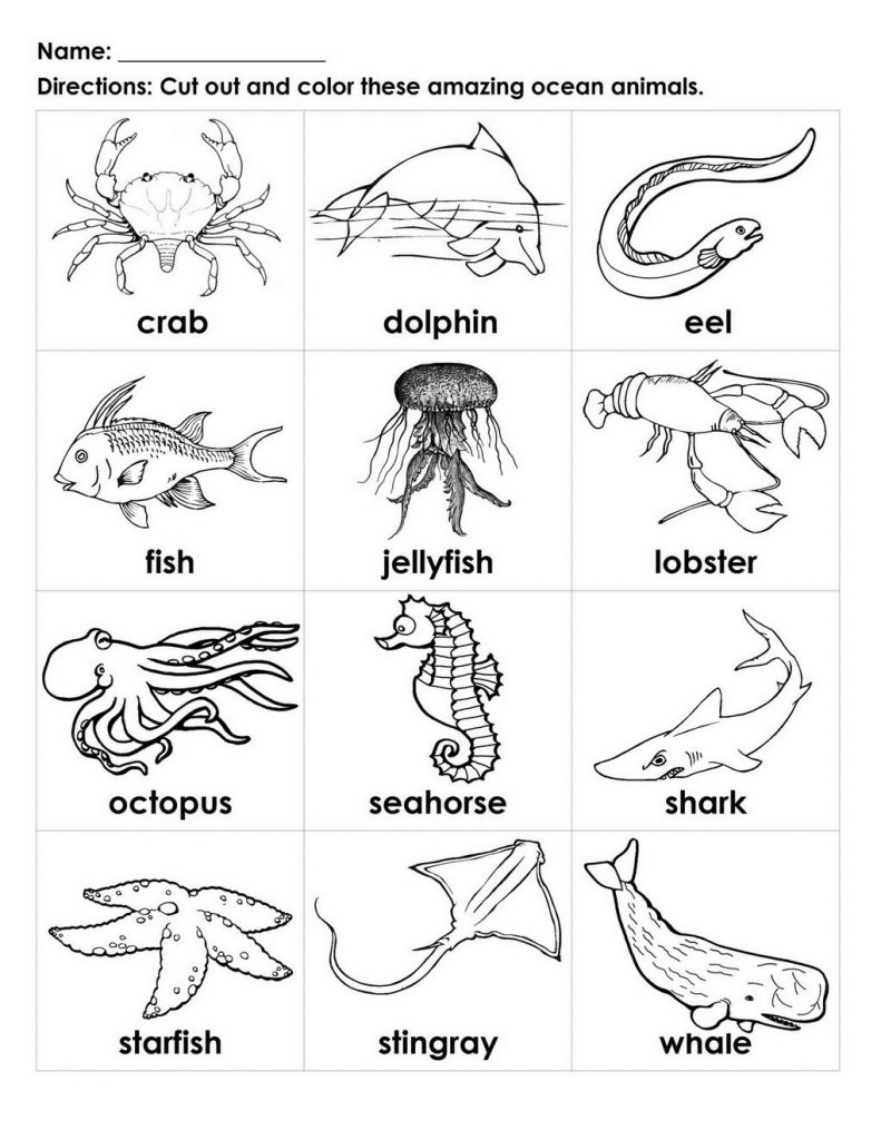 791x1024 Secrets Sea Animal Pictures To Color Ocean Coloring Pages