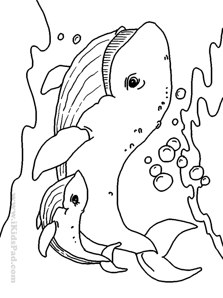 768x1024 Happy Printable Sea Creatures Ocean Coloring Pages