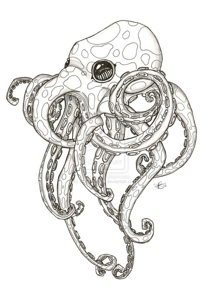 736x1028 Pin By Ivy Roettger On Tattoo Ideas Tattoo, Octopus