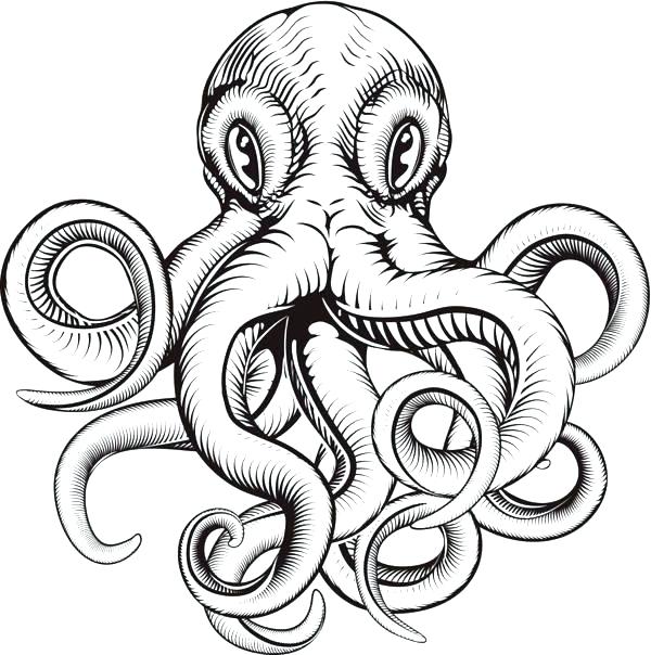 600x604 Sea Monster Octopus Coloring Page Color Sea Monster Octopus