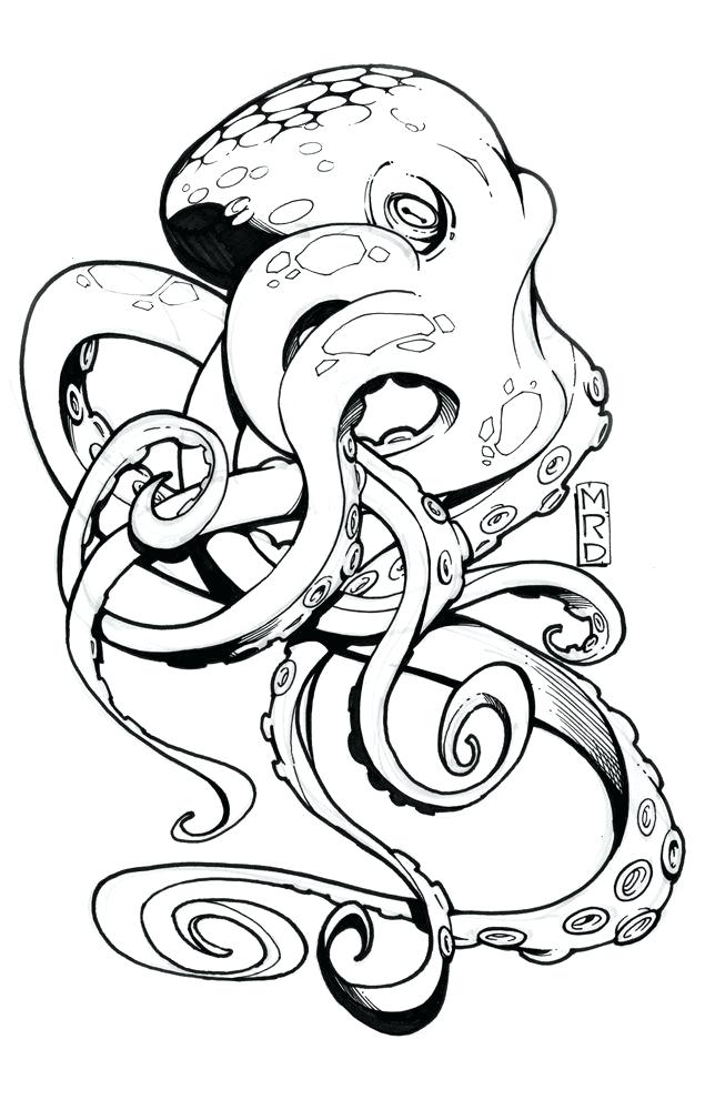 635x1000 Octopus Tattoo Drawings Gallery Transasia