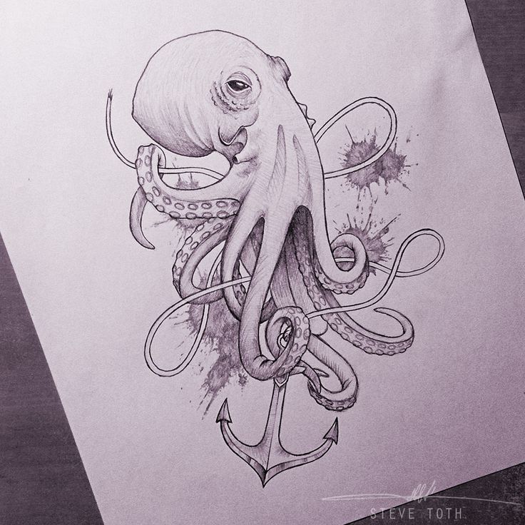 736x736 Octopus Tattoos Anchor Drawing Octopus Tattoo Sketch Octopus