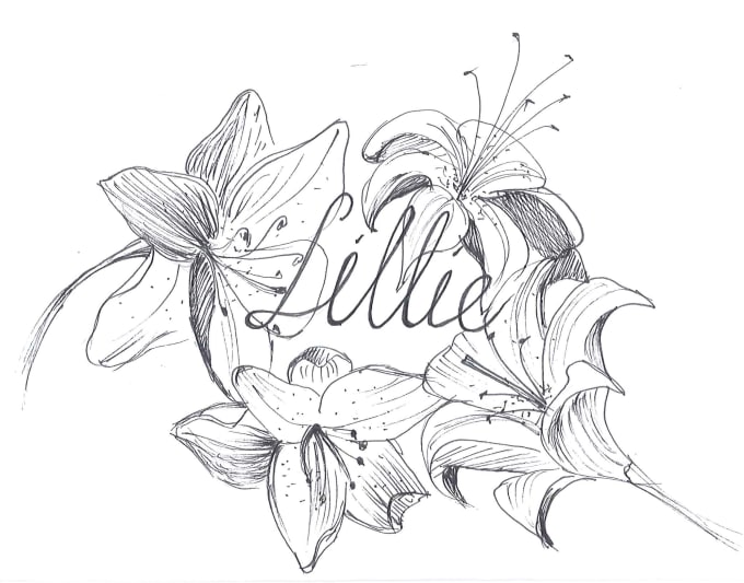 680x533 Offer You An Amazing Drawing By Marcelina23