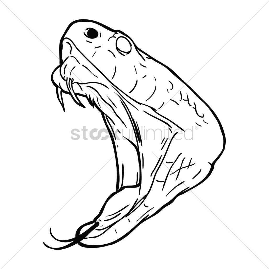 1027x1027 How Anaconda Face Drawing To Draw Nicki Minaj Youtuberhyoutubecom