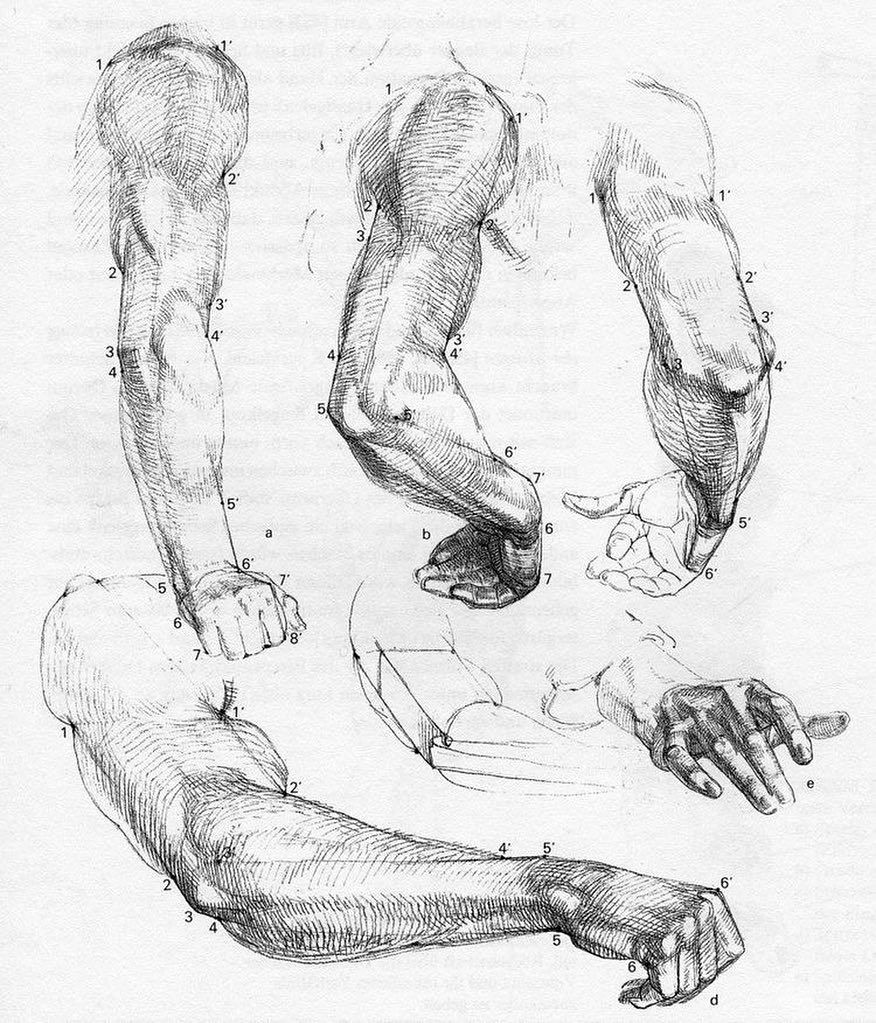 876x1023 18.1k Likes, 23 Comments