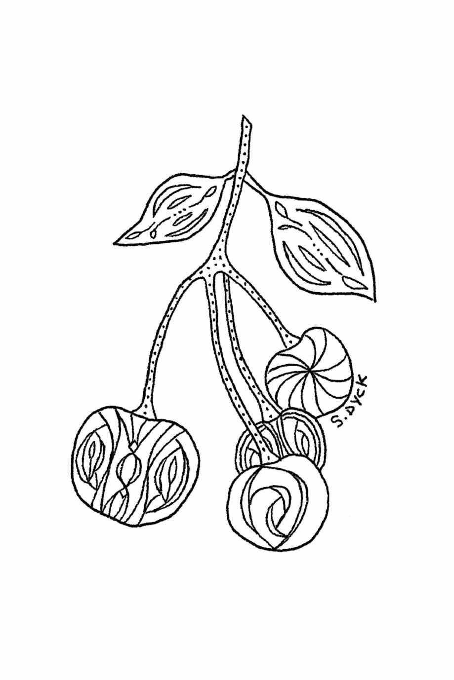 919x1378 Okra Drawing Cortina Foods