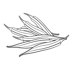 240x240 Search Photos Okra