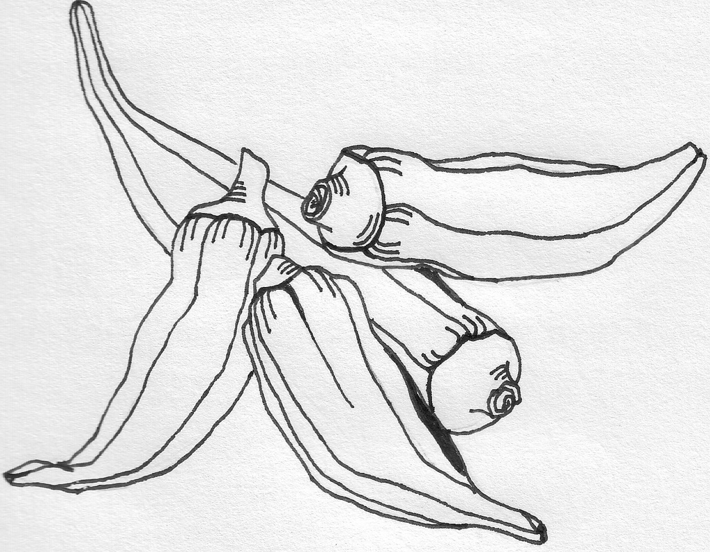 1024x796 Okra Annie Reichert