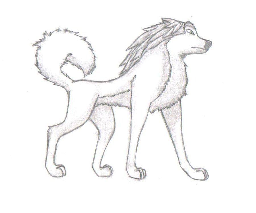 900x750 Garth Alpha And Omega By Tiapunky