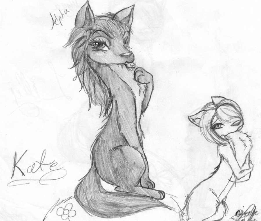 900x762 Aplah And Omega Alpha Kate (Orignal) By Smoluniverse