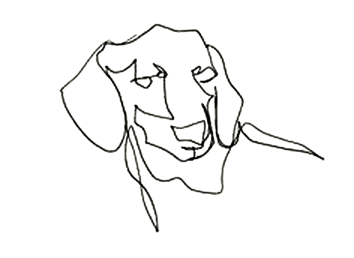 1200x875 Contour Line Mr. Knight Art