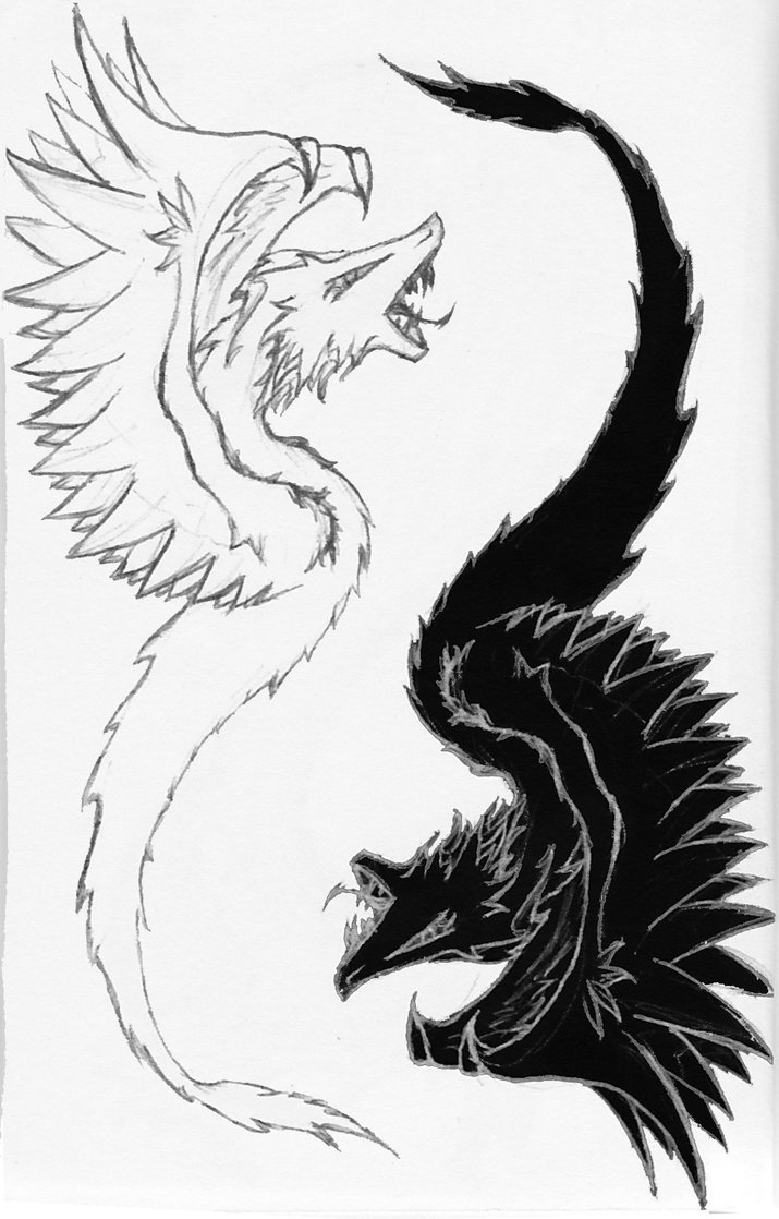 715x1118 Opposite No Background By Sognodrago