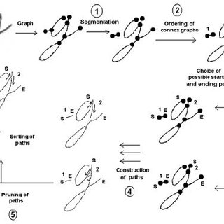 320x320 Pdf) What Knowledge About Handwritten Letters Can Be Used