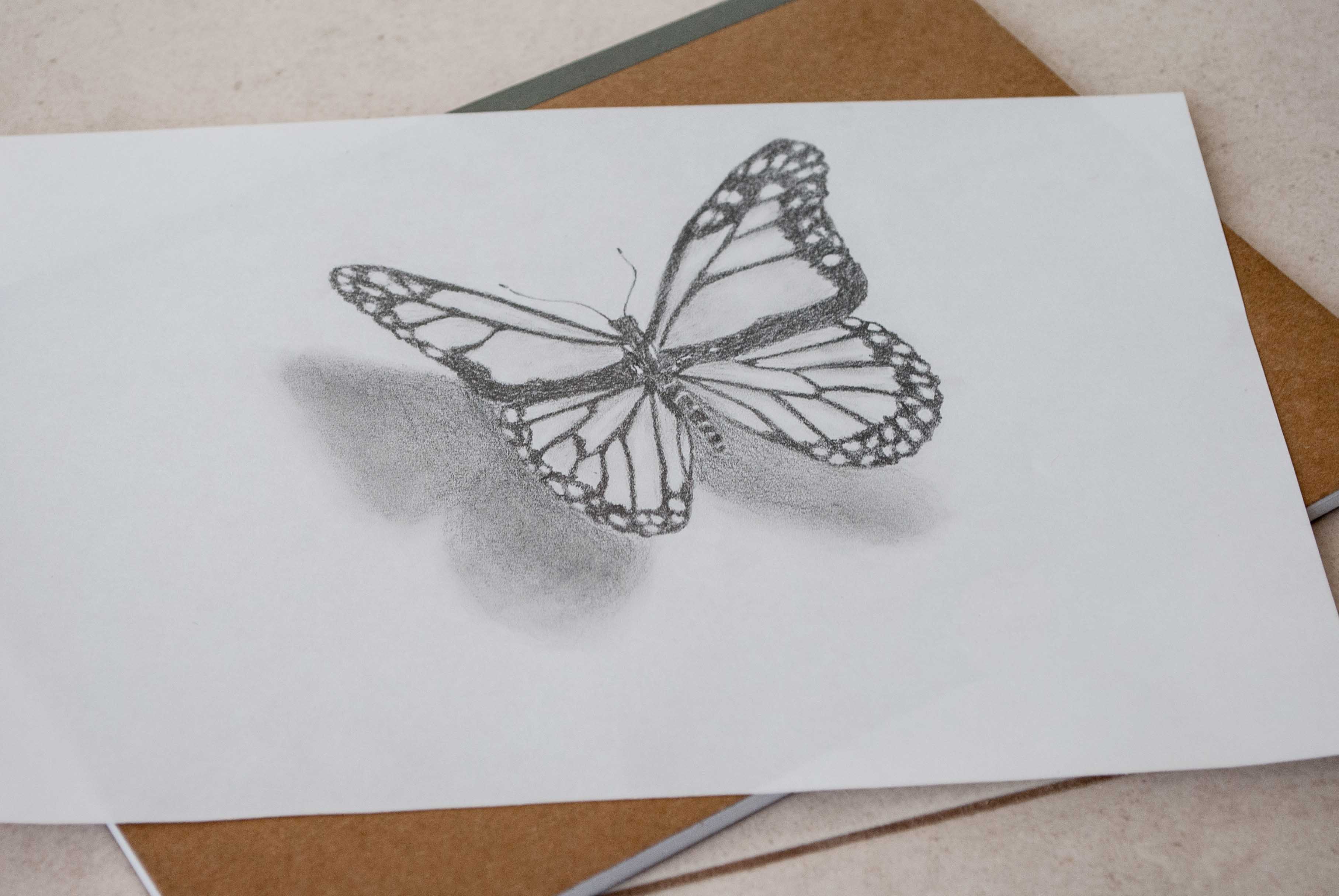 3631x2431 Butterfly Drawing In 3d. Step By Step Steemit
